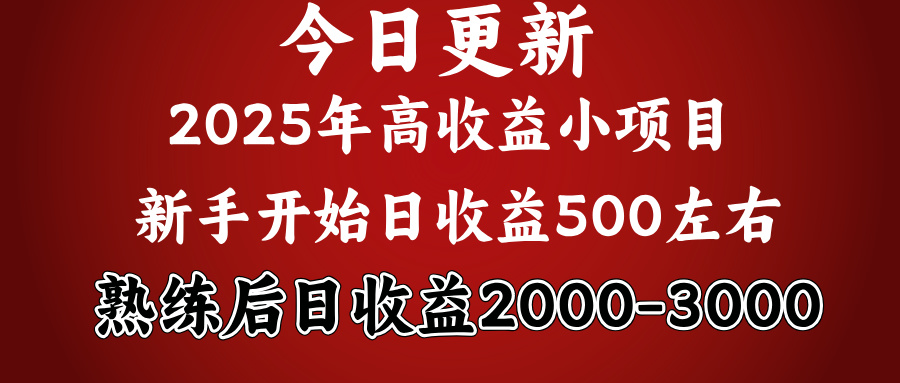 2025开年好项目，新手日收益500+ 熟练掌握后，日收益平均2000多-聚英社副业网