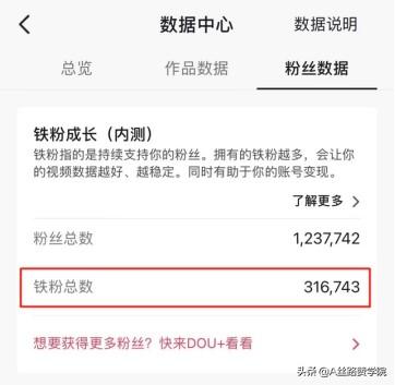 如何正确利用抖音流量池-聚英社副业网