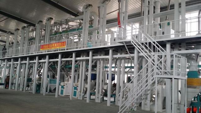 五十吨玉米深加工项目赚钱吗？小型玉米深加工项目有哪些？-聚英社副业网