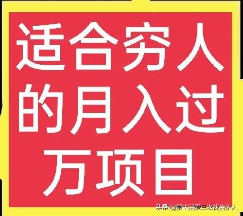 适合农村人做的赚钱项目（在农村做什么项目好）-聚英社副业网