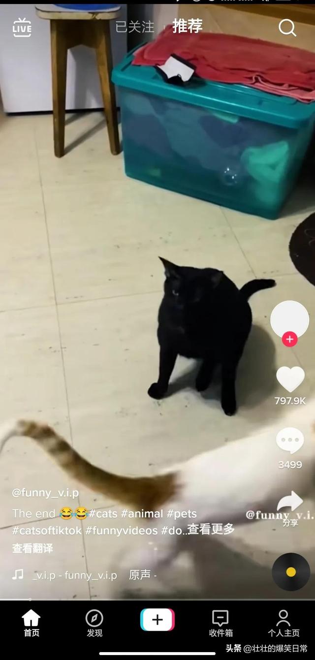 如何使用海外版抖音（国内怎样使用tiktok）-聚英社副业网