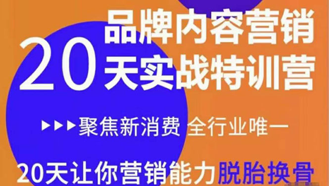 【副业项目3899期】《内容营销实操特训营》20天让你营销能力脱胎换骨（价值3999）-聚英社副业网