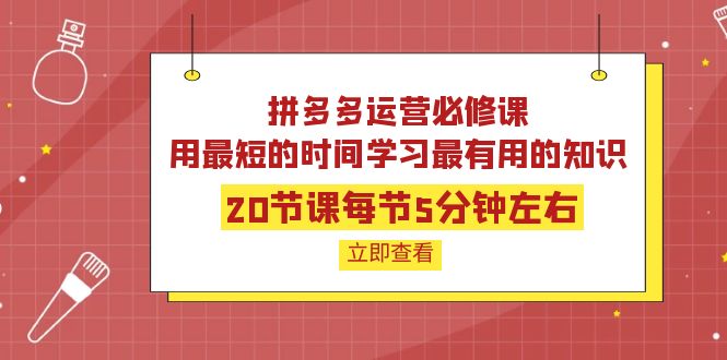 【副业项目4189期】拼多多运营必修课：20节课每节5分钟左右，用最短的时间学习最有用的知识-聚英社副业网