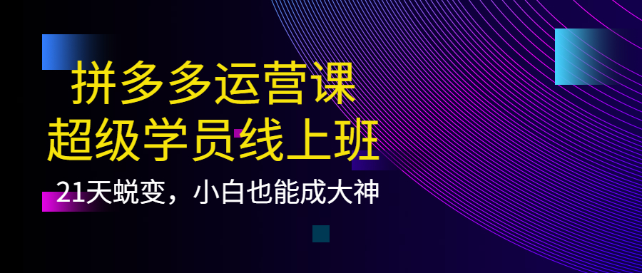【副业项目4260期】拼多多运营课：超级学员线上班，21天蜕变，小白也能成大神-聚英社副业网