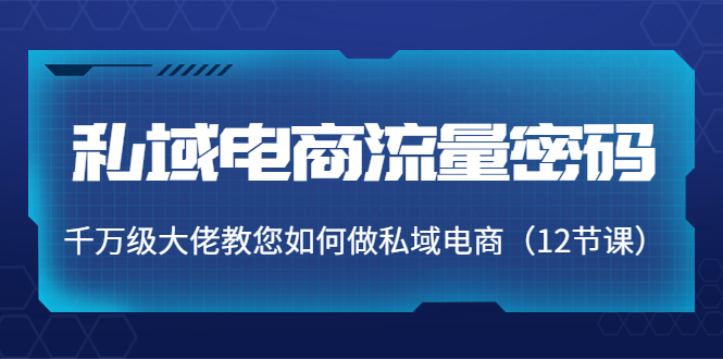 【副业项目4297期】私域电商流量密码：千万级大佬教您如何做私域电商（12节课）-聚英社副业网