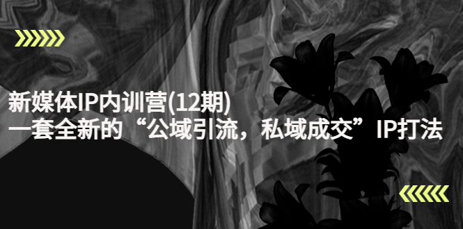 【副业项目4405期】新媒体IP内训营(12期)：一套全新的“公域引流，私域成交”IP打法，直接带走-聚英社副业网