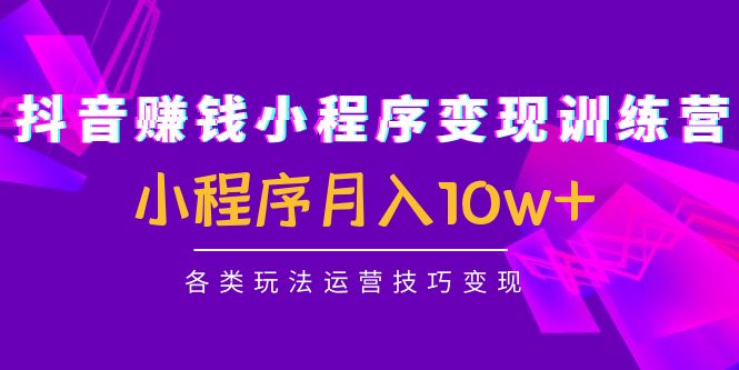【副业项目4765期】抖音赚钱小程序变现训练营：小程序月入10w+各类玩法运营技巧变现-聚英社副业网