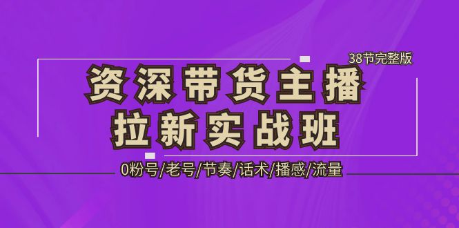 【副业项目5333期】资深·带货主播拉新实战班，0粉号/老号/节奏/话术/播感/流量-38节完整版-聚英社副业网