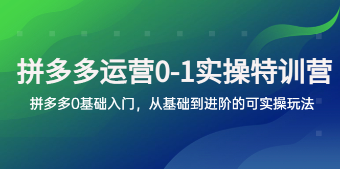 【副业项目5801期】拼多多-运营0-1实操训练营，拼多多0基础入门，从基础到进阶的可实操玩法-聚英社副业网
