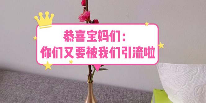 【副业项目5918期】恭喜宝妈们：你们又要被我们引流了（教程+222g资料）-聚英社副业网