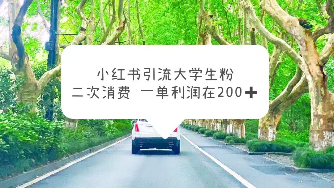 【副业项目5937期】小红书引流大学生粉，变现项目，一单利润在200+（教程+资源）-聚英社副业网