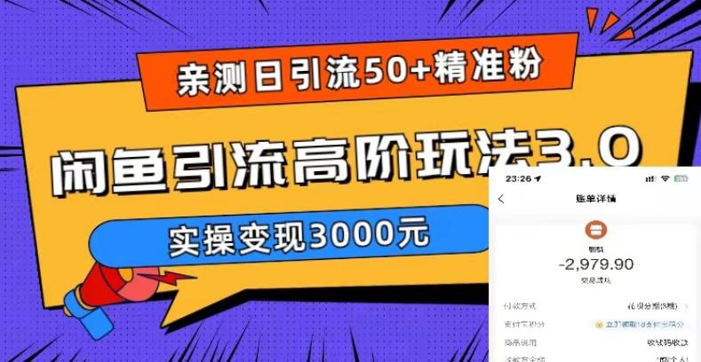 【副业项目5795期】实测日引50+精准粉，闲鱼引流高阶玩法3.0，实操变现3000元-聚英社副业网