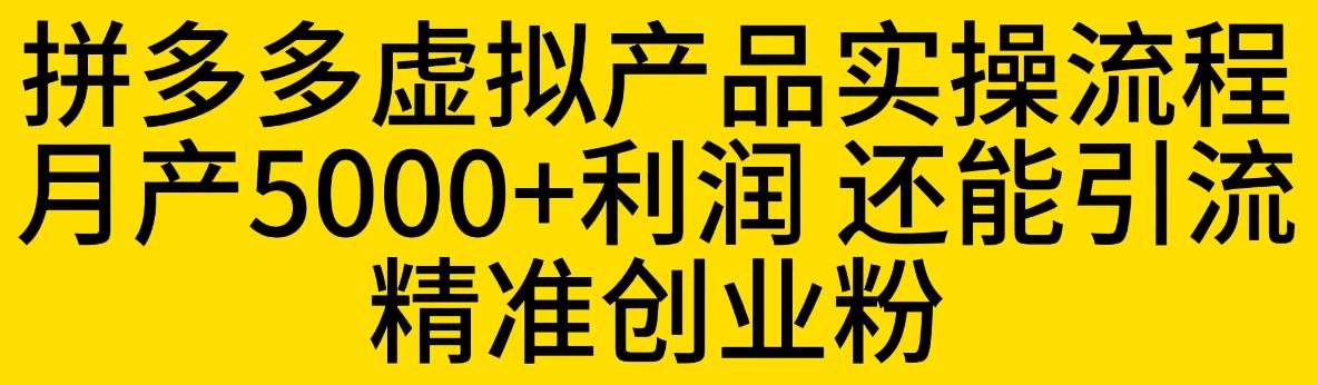【副业项目6569期】拼多多虚拟产品实操流程，月产5000+利润，还能引流精准创业粉-聚英社副业网