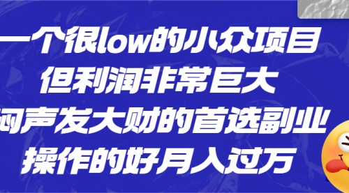 【副业项目6782期】一个很low的小众项目，但利润非常巨大，闷声发大财的首选副业，月入过万-聚英社副业网