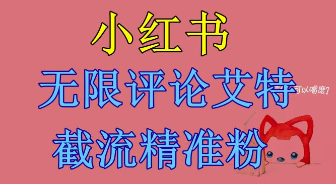 【副业项目6846期】小红书无限评论艾特截流精准粉（软件+教程）-聚英社副业网