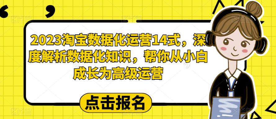 【副业项目6599期】2023淘宝数据化-运营 14式，深度解析数据化知识，帮你从小白成长为高级运营-聚英社副业网