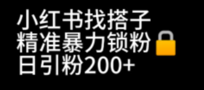 【副业项目7040期】小红书找搭子暴力精准锁粉+引流日引200+精准粉-聚英社副业网