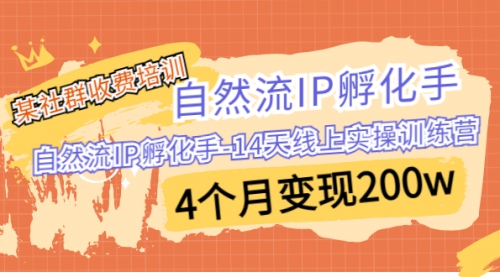 【副业项目7109期】自然流IP孵化手-14天线上实操训练营 4个月变现200w-聚英社副业网
