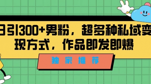 【副业项目7191期】独家推荐！日引300+男粉，超多种私域变现方式-聚英社副业网