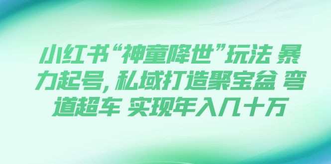 【副业项目7983期】小红书“神童降世”玩法 暴力起号,私域打造聚宝盆-聚英社副业网