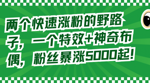 【副业8723期】两个快速涨粉的野路子，一个特效+神奇布偶，粉丝暴涨5000起！-聚英社副业网