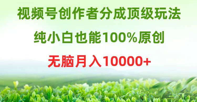 视频号创作者分成顶级玩法，纯小白也能100%原创，无脑月入10000+-聚英社副业网