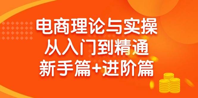 电商理论与实操从入门到精通 新手篇+进阶篇-聚英社副业网