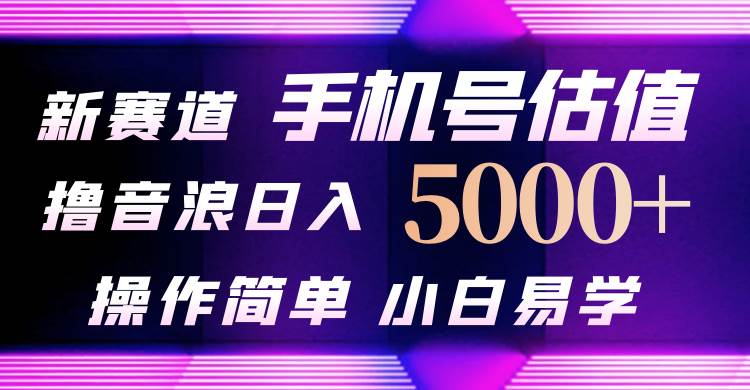 抖音不出境直播【手机号估值】最新撸音浪，日入5000+，简单易学，适合…-聚英社副业网