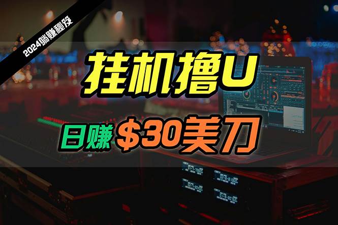 日赚30美刀，2024最新海外挂机撸U内部项目，全程无人值守，可批量放大-聚英社副业网