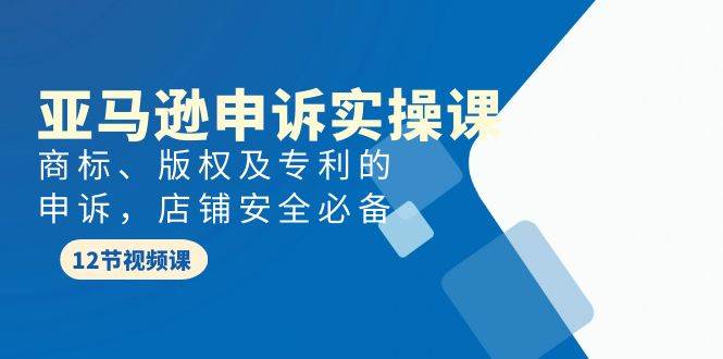亚马逊-申诉实战课，商标、版权及专利的申诉，店铺安全必备-聚英社副业网