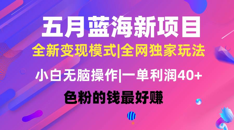 五月蓝海项目全新玩法，小白无脑操作，一天几分钟，矩阵操作，月入4万+-聚英社副业网