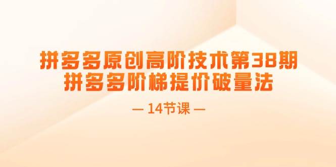 拼多多原创高阶技术第38期，拼多多阶梯提价破量法（14节课）-聚英社副业网
