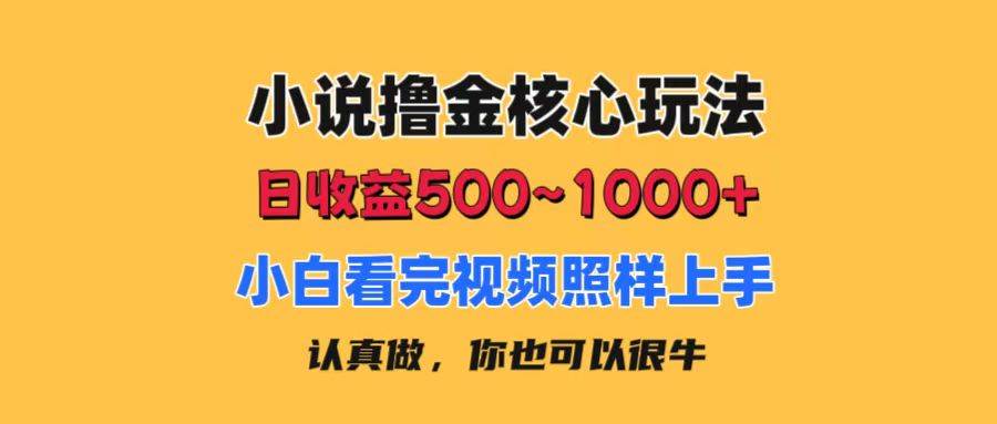 小说撸金核心玩法，日收益500-1000+，小白看完照样上手，0成本有手就行-聚英社副业网