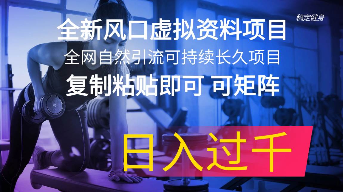 全新风口虚拟资料项目 全网自然引流可持续长久项目 复制粘贴即可可矩阵…-聚英社副业网