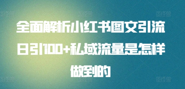 全面解析小红书图文引流日引100私域流量是怎样做到的-聚英社副业网