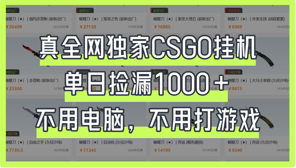 真全网独家CSGO挂机，单日捡漏1000+-聚英社副业网